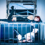 10Seladon_Hex_Kaefig@594